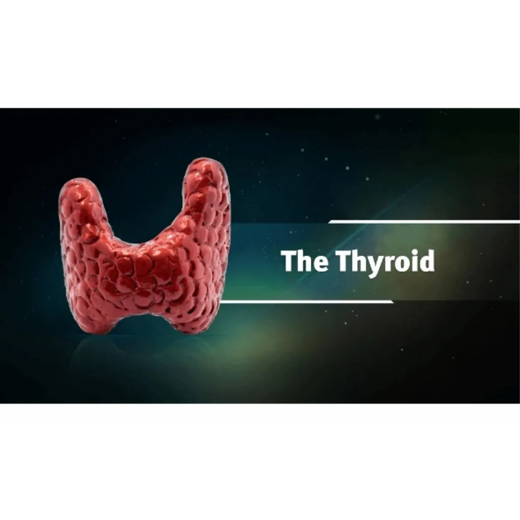 Ayurveda & Thyroid Health (Ayurveda on Root Causes of Thyroid, Diagnosis of Thyroid, Thyroid Diet)