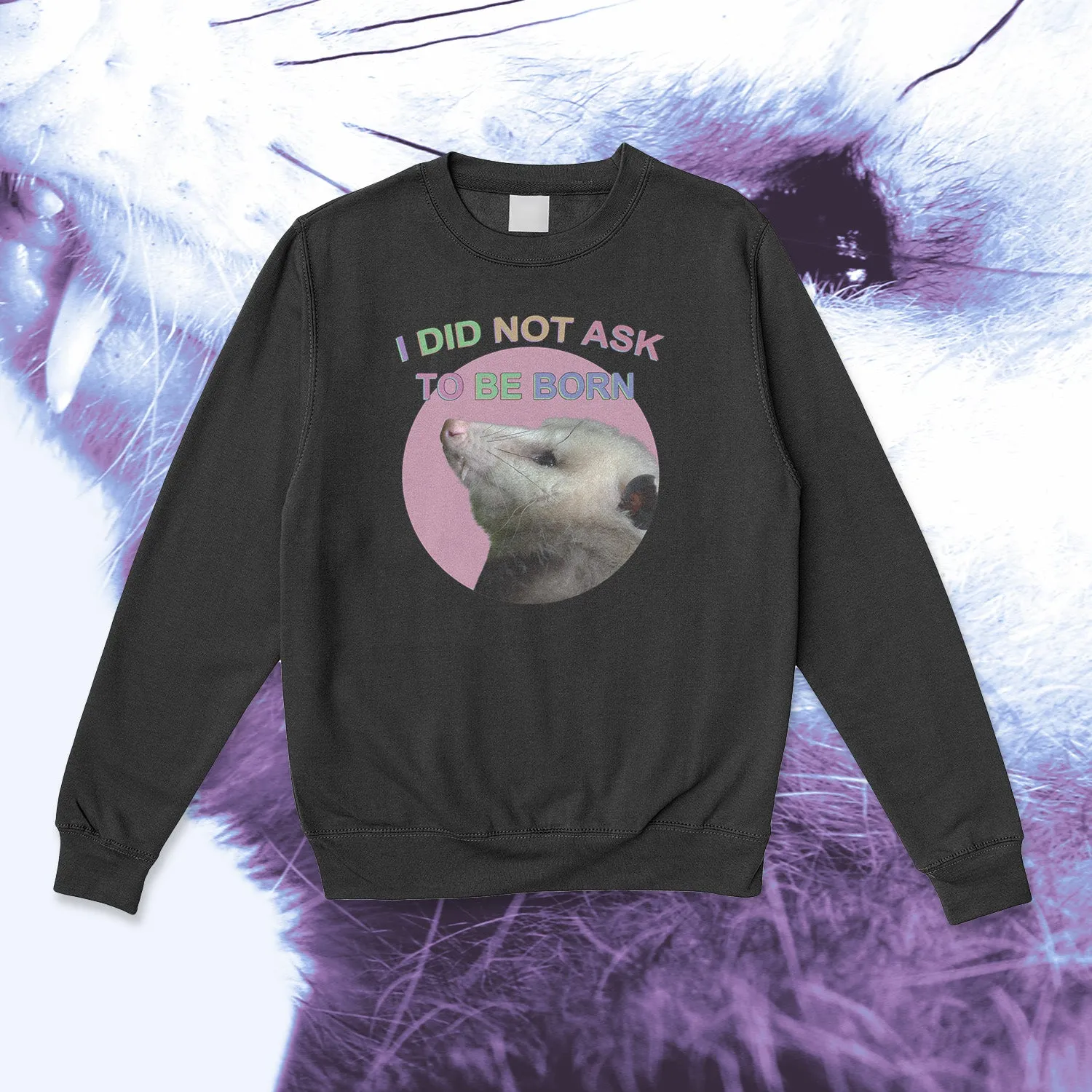 i did not ask to be born