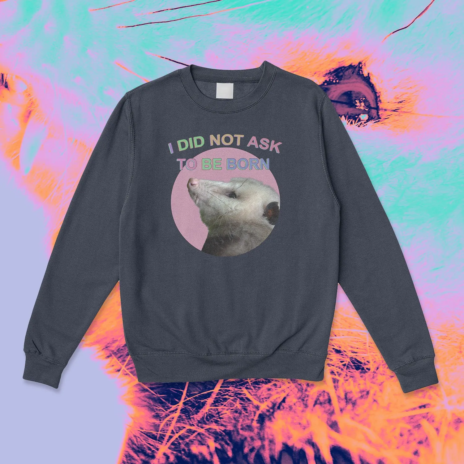 i did not ask to be born
