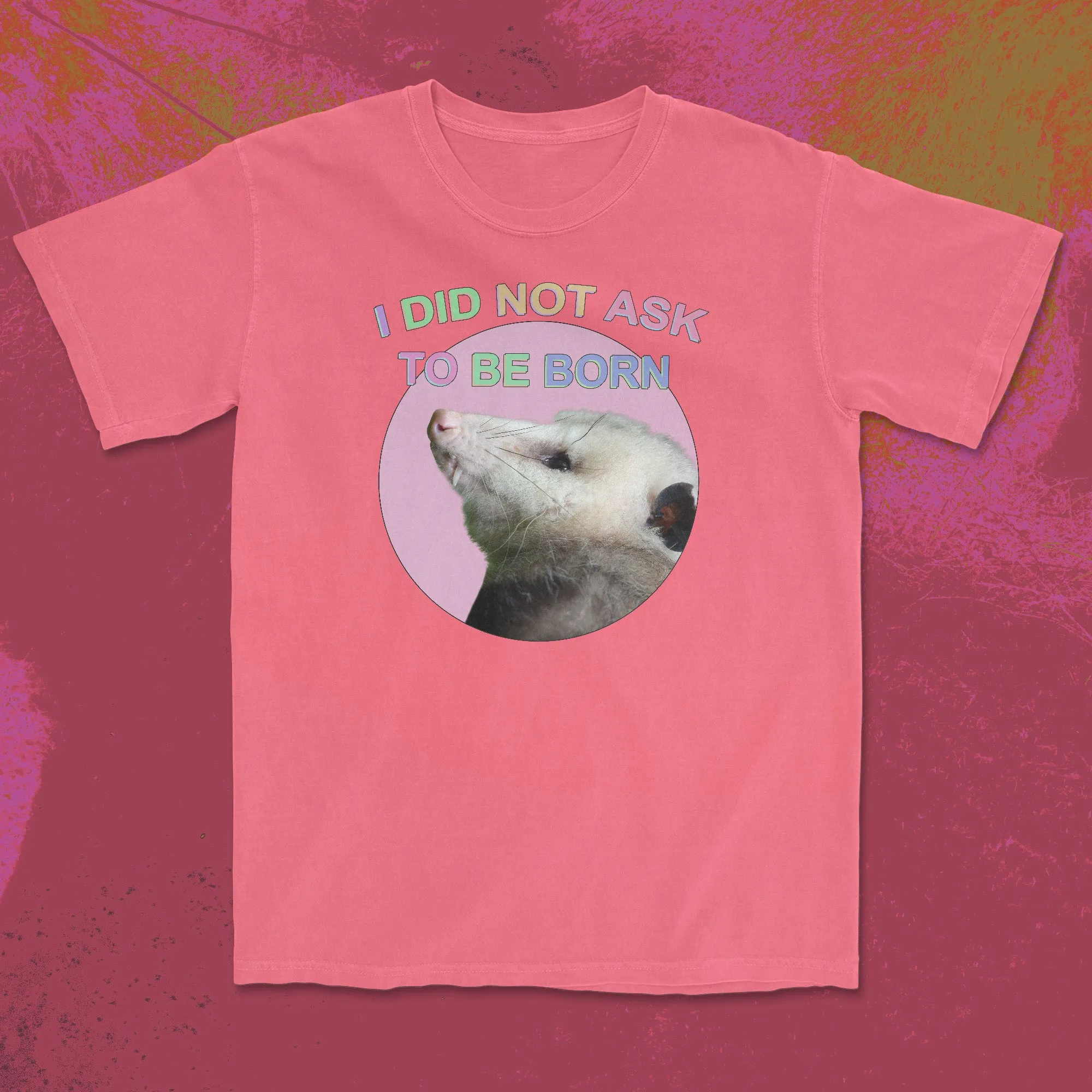 i did not ask to be born