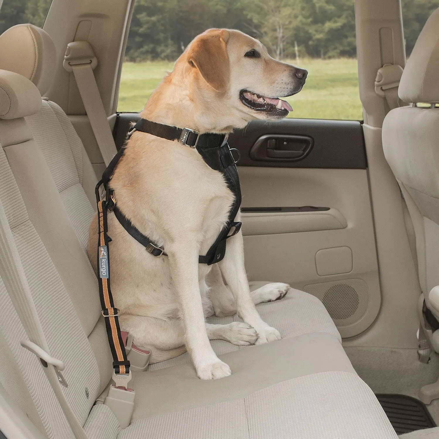 Kurgo Direct To Seatbelt Tether