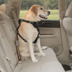 Kurgo Direct To Seatbelt Tether