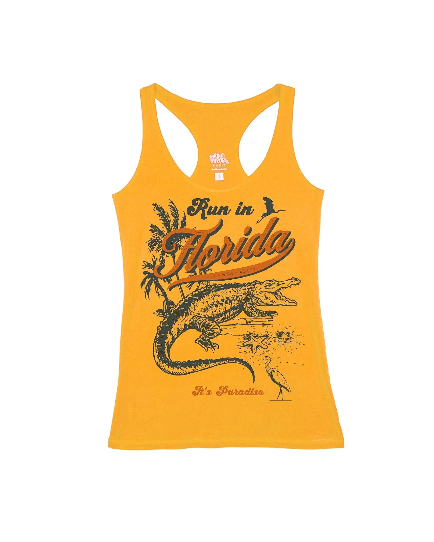 Run in Florida Alligator