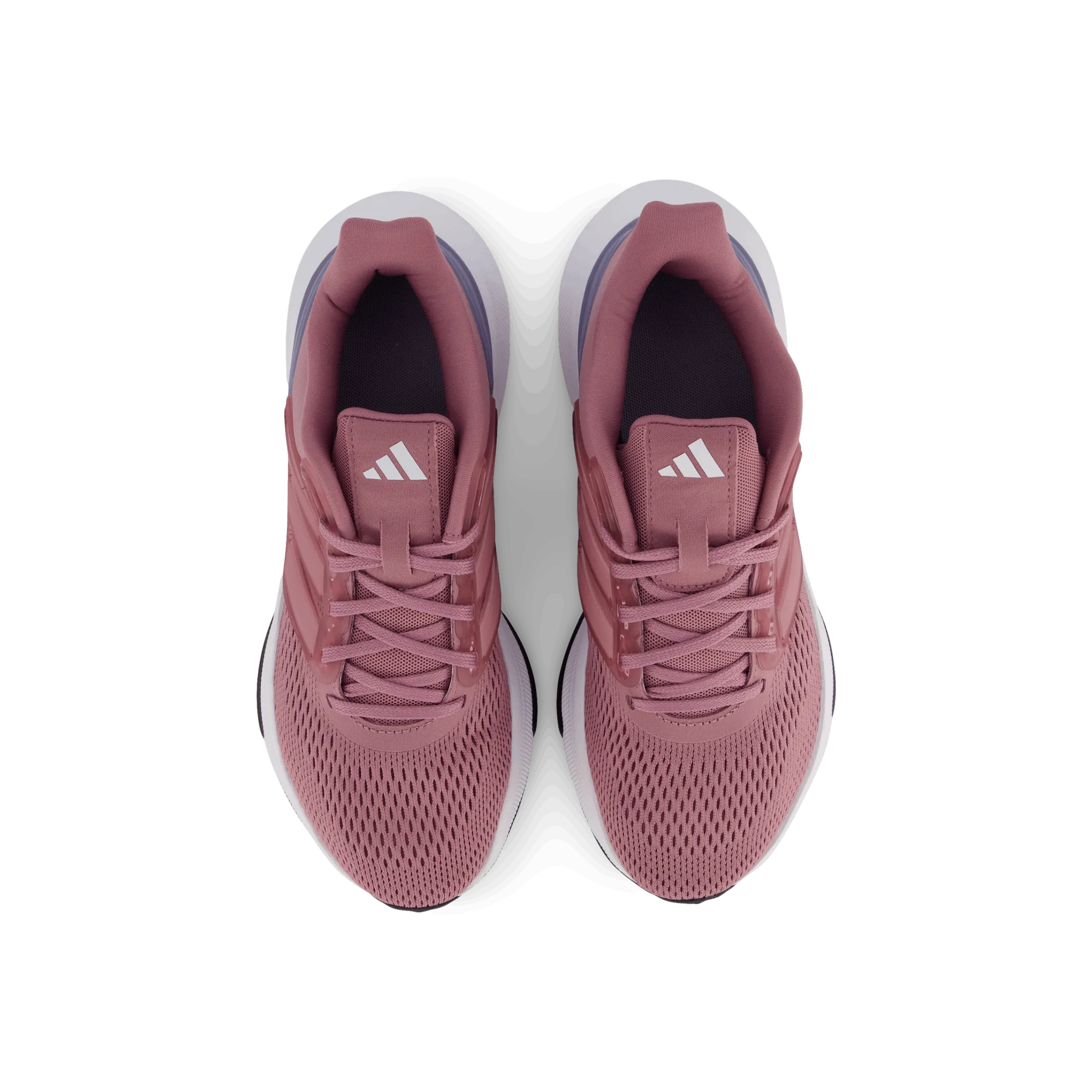 Ultrabounce Shoes Wonorc / Cloud White / Core Black