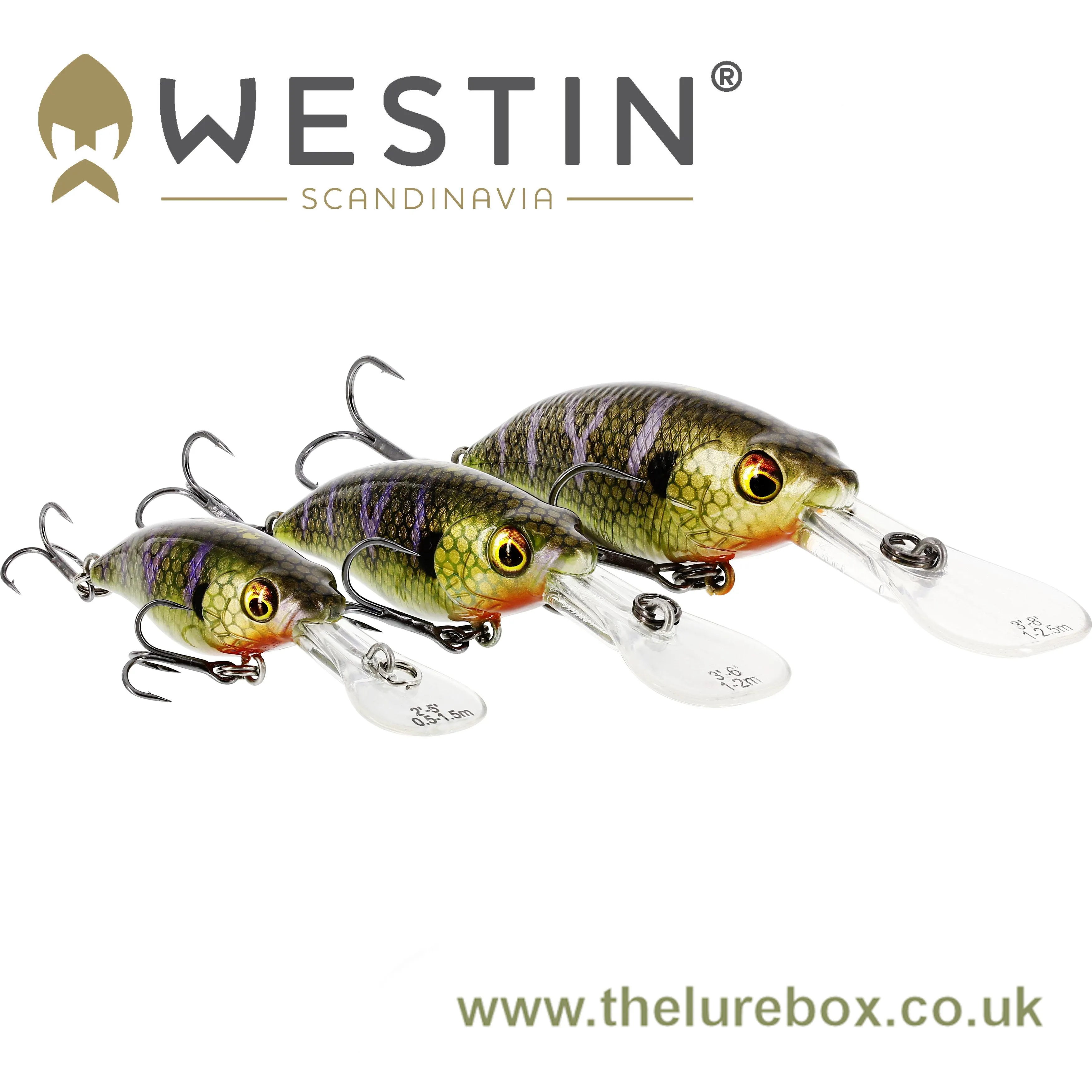 Westin BuzzBite Crankbait 6cm Deep Runner - Suspending