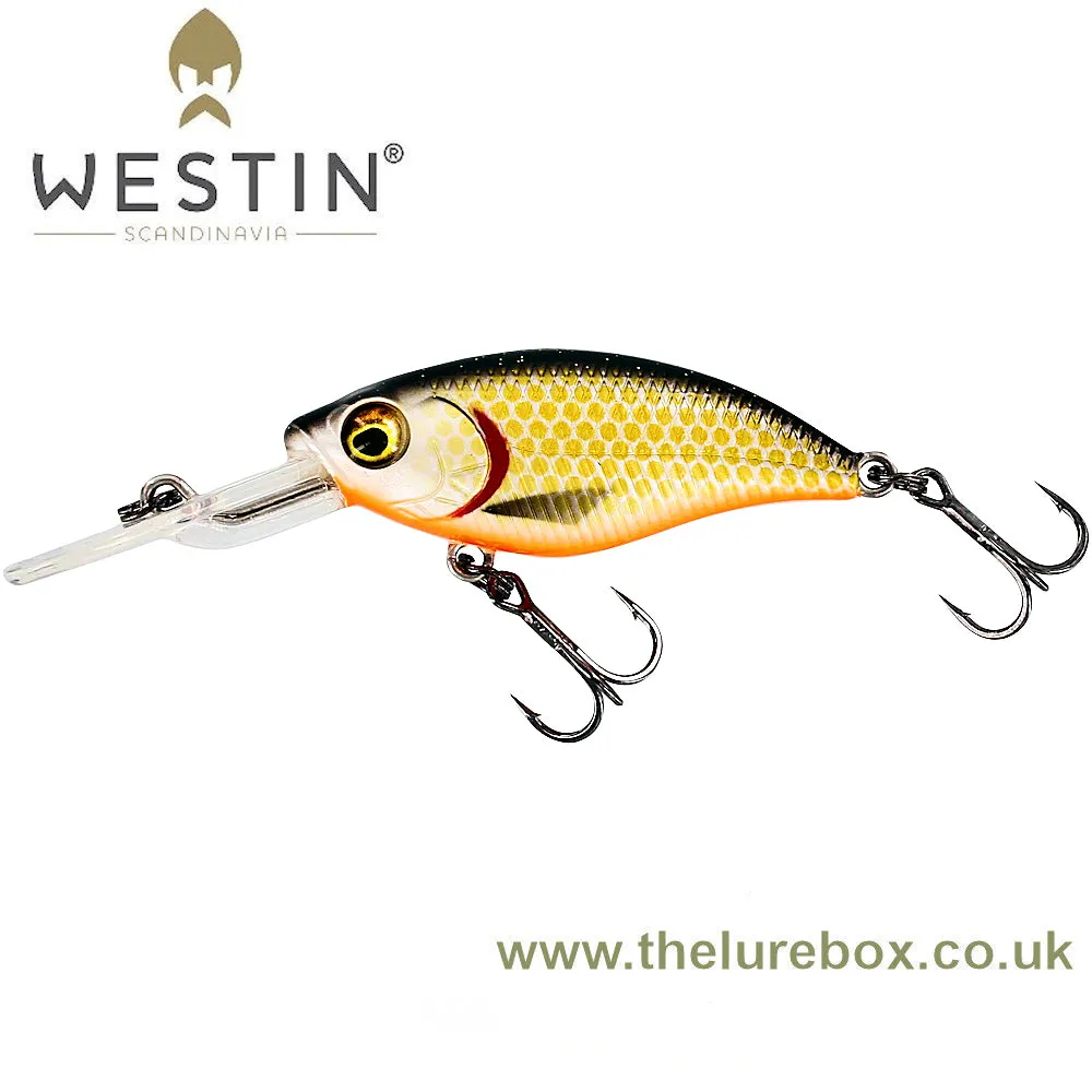 Westin BuzzBite Crankbait 6cm Deep Runner - Suspending